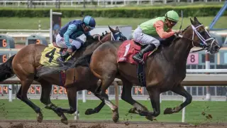 How to Bet on the 2026 Kentucky Derby: Betting Types, Odds, and Where to Wager